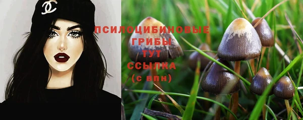 марки nbome Верхний Тагил