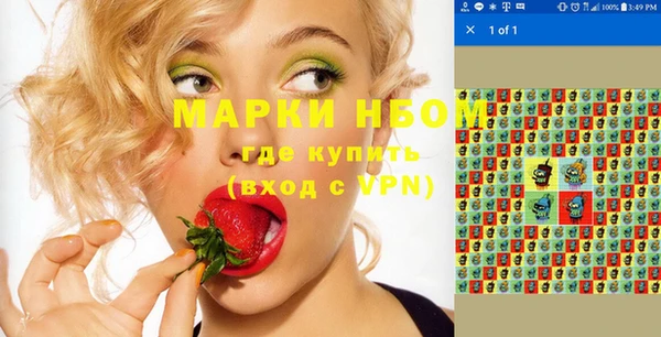 мдпв Бородино